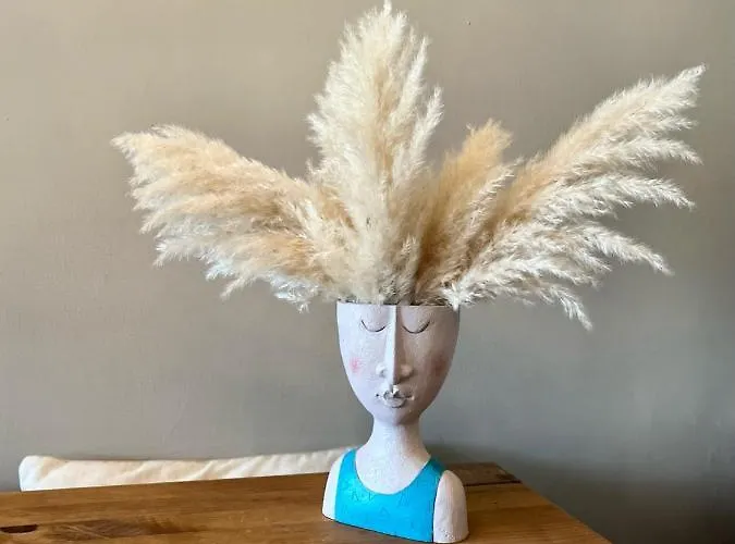 House Дом отдыха Онфлёр