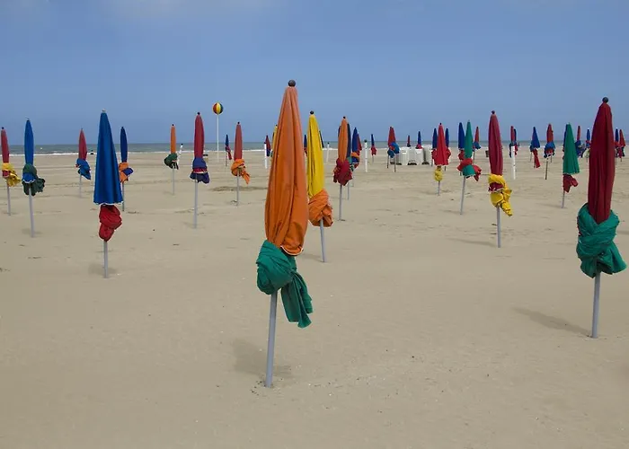 House * הונפלר