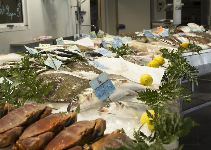 House * הונפלר